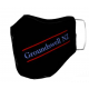 Groundswell Face Mask