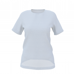 Women's Set-in Short Sleeve Round Neck T-shirt Long version "Onehunga"