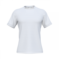 The Orakei, Male, Set-in, Short Sleeve, Round Neck with chinese collar, T-shirt