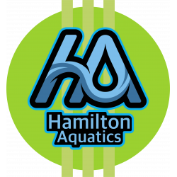 Hamilton Aquatics