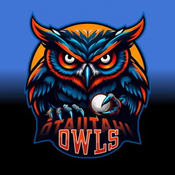 Ōtautahi Owls